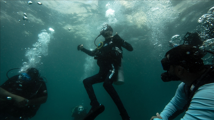 Free-diving, swimming competitions mark 3rd day of Musandam International Diving Festival