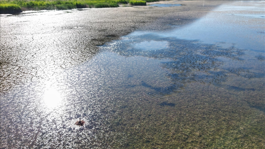 Lebanon facing worst water shortage in decades: Minister