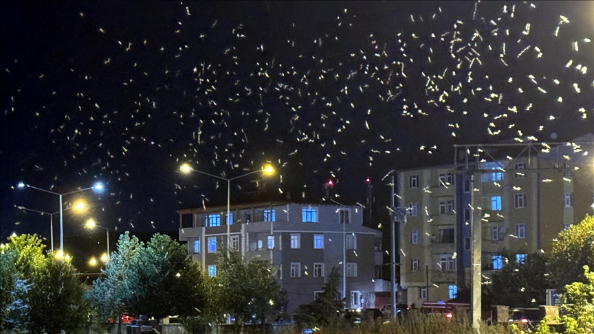 Li Erdexanê "semaya mirinê" ya mêşan qediya