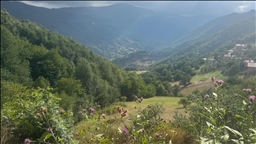 Kulakkaya Yaylası'nın turizm potansiyelinin artırılması hedefleniyor