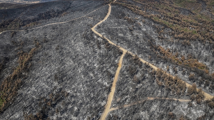Çanakkale'de 118 orman yangınında 7 bin 39 hektar alan zarar gördü