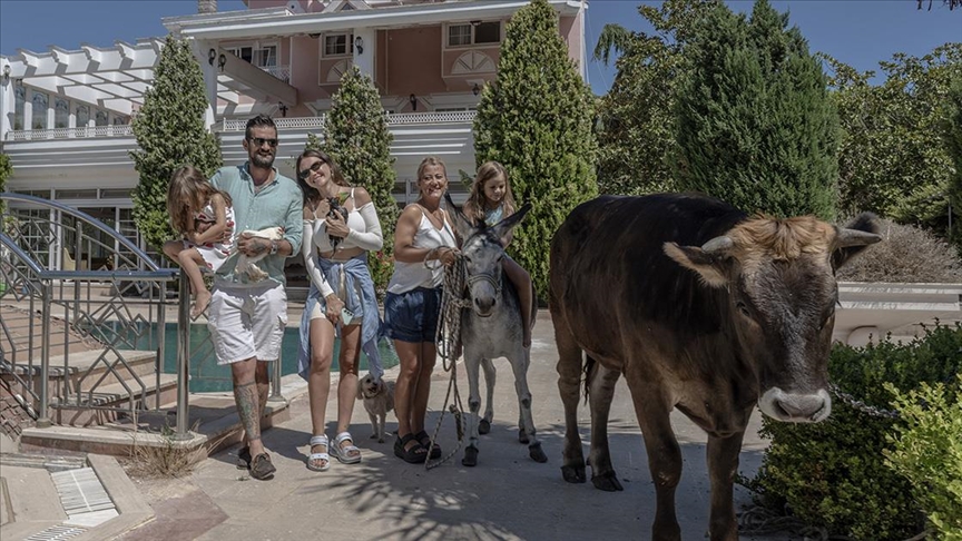 Sahiplendikleri farklı türdeki hayvanlara evlerini yuva yaptılar