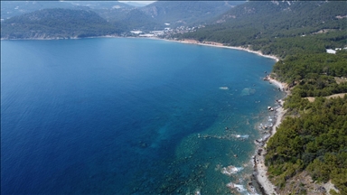 Akdeniz'deki ısınma ekosistemi yeniden şekillendiriyor