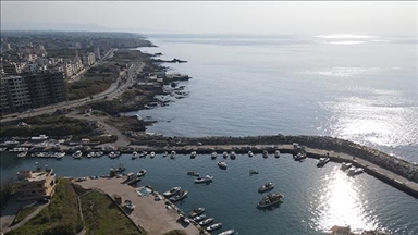 1st cargo vessel reaches Syria’s Tartous port after sanctions lifted