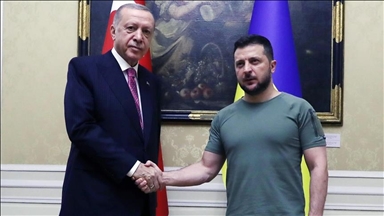 Turkish, Ukrainian presidents discuss bilateral ties, Ukraine-Russia peace process