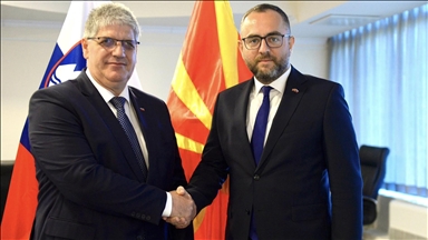 Ministri i Brendshëm i Maqedonisë së Veriut takon homologun slloven në Ohër