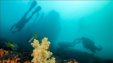 Musandam International Diving Festival ends with focus on eco-tourism, future expansion