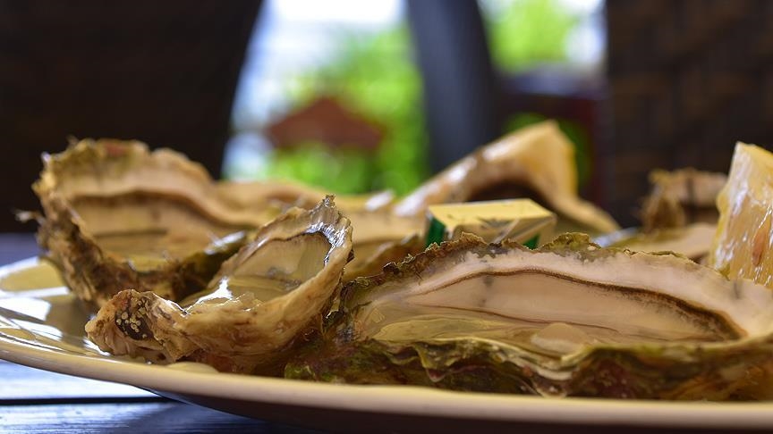 2 dead in US from flesh-eating bacteria after eating raw oysters