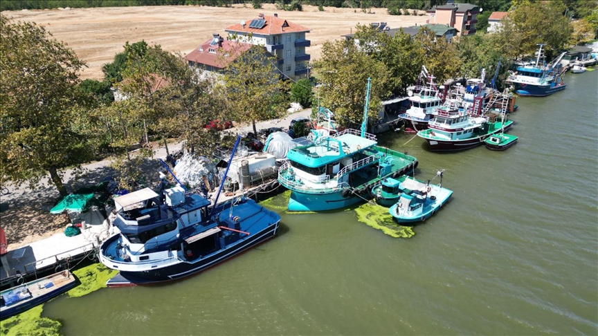 Sakarya'da balıkçılar denize açılmaya hazır