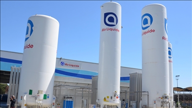Putin, Fransız şirketi Air Liquide'in Rusya'daki varlıklarını yerel bir şirkete devretti