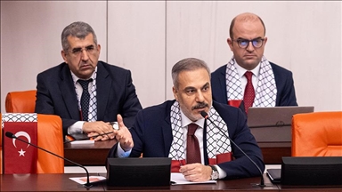 فيدان: مقاومة الفلسطينيين ستغير مجرى التاريخ