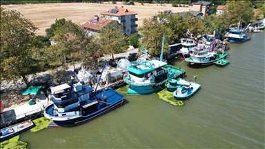Sakarya'da balıkçılar denize açılmaya hazır