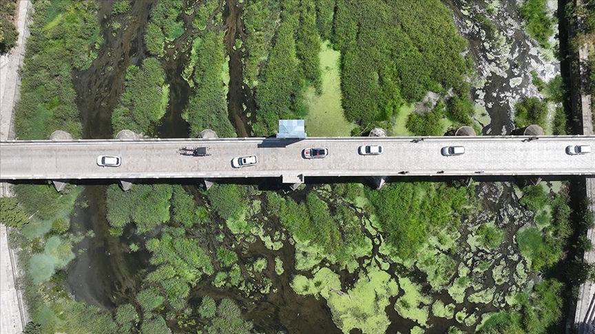 Tunca Nehri'nde kuraklık nedeniyle su akışının durduğu alanlar ot öbekleriyle kaplandı