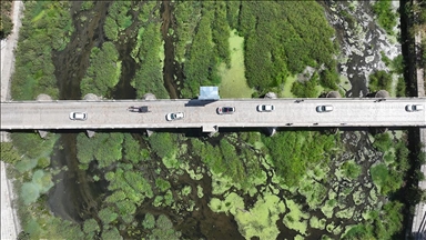 Tunca Nehri'nde kuraklık nedeniyle su akışının durduğu alanlar ot öbekleriyle kaplandı