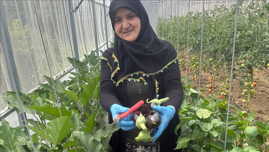 Seracılık hayalini 60 yaşında gerçekleştirdi