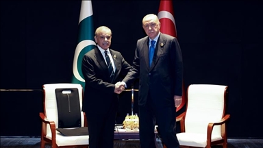 Erdogan: Turska i Pakistan će nastaviti saradnju protiv genocidne politike Izraela u Gazi