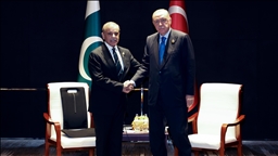 Президент Эрдоган принял премьер-министра Пакистана Шахбаза Шарифа