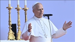 Pope Leo calls for immediate ceasefire in Ukraine
