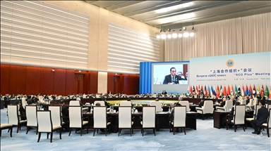 SCO calls for ceasefire in Gaza, ‘just solution’ to Palestinian issue
