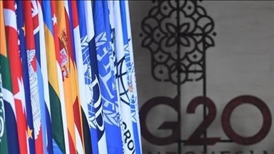Egypt urges stronger global cooperation on food security at G20 meeting