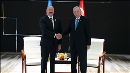 Cumhurbaşkanı Erdoğan, Azerbaycan Cumhurbaşkanı Aliyev ile görüştü
