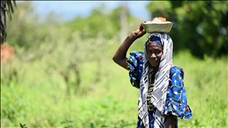 L'Afrique confrontée à sa plus grande crise alimentaire depuis des décennies