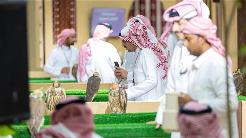 السعودية.. مزاد دولي لإنتاج الصقور يحقق مبيعات بـ 3.46 ملايين دولار