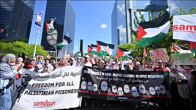 بلجيكا تعلن عزمها الاعتراف بدولة فلسطين وفرض عقوبات على حكومة إسرائيل