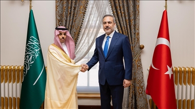 فيدان يبحث مع نظيره السعودي اجتماع الأمم المتحدة للاعتراف بفلسطين