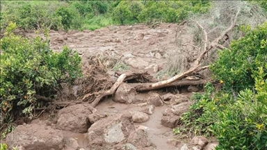 Over 1,000 killed in landslide in western Sudan village