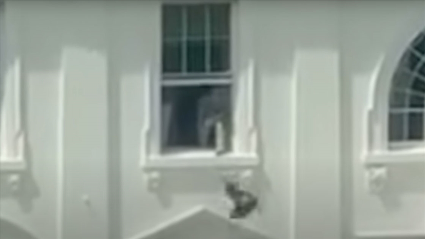 Trump, Beyaz Saray'daki "pencereden eşya atma" videosunun yapay zeka olduğunu savundu