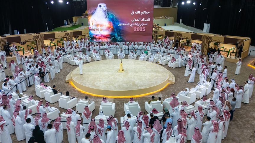 International Falcon Breeders Auction concludes in Saudi Arabia with sales exceeding $3.46M