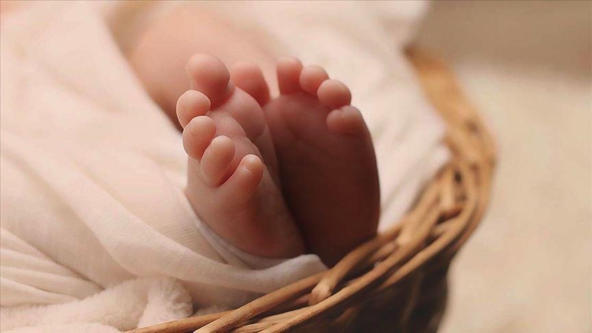 South Korea sees more marriages, increase in birthrate