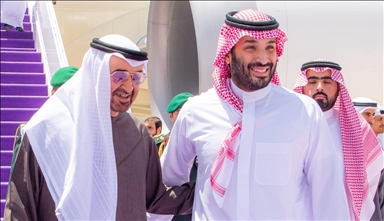 ابن زايد وابن سلمان يبحثان أوضاع فلسطين ويتمسكان بحل الدولتين