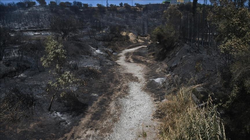 Greqi, mbi 470 mijë dynymë tokë janë djegur nga zjarret pyjore këtë vit