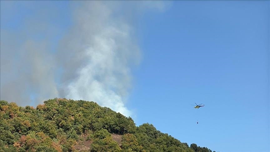 Li Bursayê şewata daristanê hat temirandin