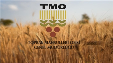 TMO, ürün bedeli olarak yaklaşık 5,2 milyar lirayı üreticilerin hesaplarına yatırdı