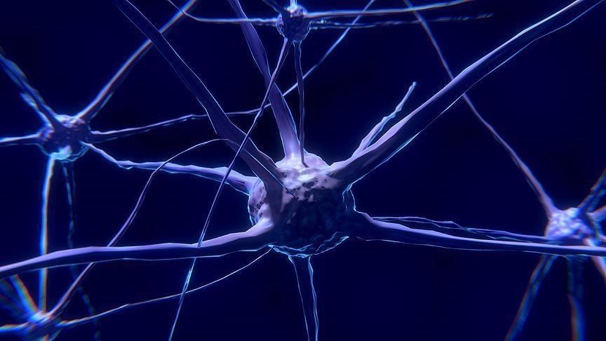 Studija: Ultrazvučna "kaciga" nudi obećavajući novi pristup liječenju Parkinsonove bolesti