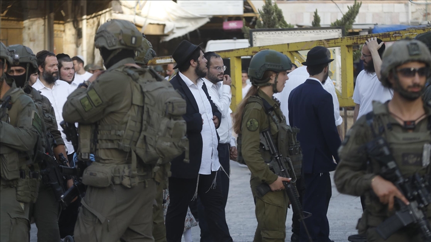 بعد إجرام مستوطنين.. فلسطينيون في خلة الضبع يتمسكون بأرضهم (تقرير)
