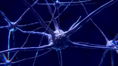 Ultrasound 'helmet' offers promising new approach to Parkinson's treatment: Study