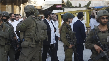 بعد إجرام مستوطنين.. فلسطينيون في خلة الضبع يتمسكون بأرضهم 