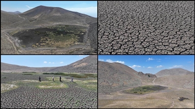 Erciyes'in eteklerinde yılkı atları, kuşlar ve koyunlara hayat veren Sarıgöl kurudu
