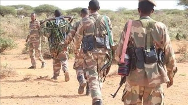 Somalie : 12 terroristes d’al-Shabaab tués et 13 blessés lors d’une frappe aérienne