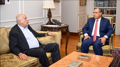 مصر تجدد دعوة إسرائيل لقبول مقترح وقف إطلاق النار بغزة