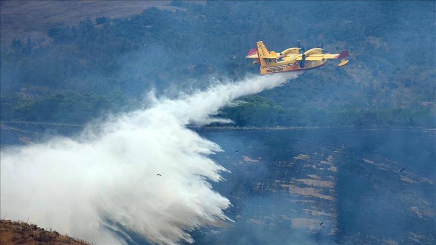 Proactive forest management cuts wildfire severity by 88%, study shows