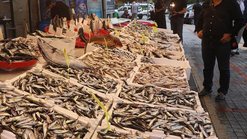 Rize'de balıkçı tezgahlarında bolluk yaşanıyor
