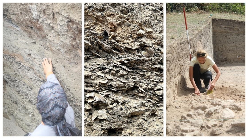 İkiztepe Höyüğü'ndeki kazılarda midye kabuklu katmana ulaşıldı