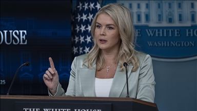 White House backs handwriting expert review of Epstein birthday letter