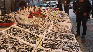 Rize'de balıkçı tezgahlarında bolluk yaşanıyor
