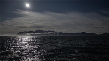 Critical ocean microbes face collapse as warming threatens global food webs: Research